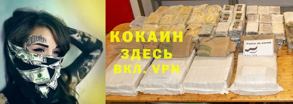 spice Алексин