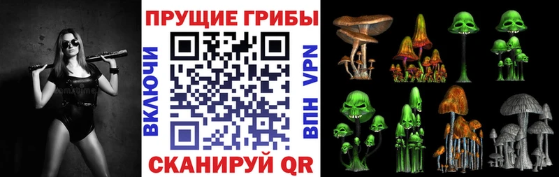 Псилоцибиновые грибы Psilocybine cubensis Боготол